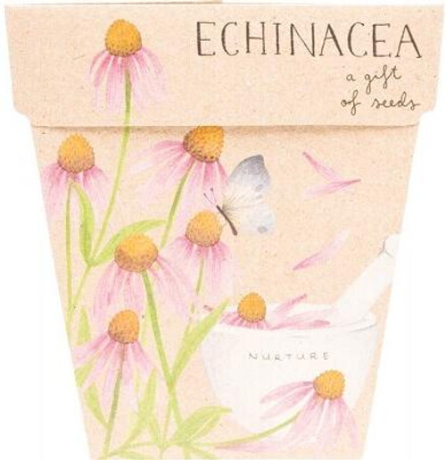 Sow N Sow Sow N Sow Gift Of Seeds Echinacea 1