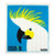 Retrokitchen 100percent Biodegradable Dishcloth Cockatoo x 1