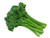 Red Hill Fresh Organic Broccollini bunch