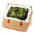 Red Hill Fresh Organic Salad Mix 1.5kg - Box