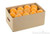 Red Hill Fresh Organic Oranges 18kg Bulk