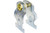 1/2 inch clamp