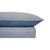 Soho Ultrasonic QCS Blue