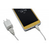 Gold Cheetah stun gun charging with USB cable and wall adapter.