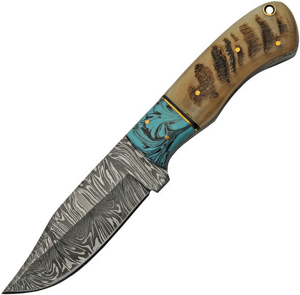 Damascus DM-1273 hunter knife showing clip point Damascus steel blade and ram’s horn handle with turquoise accent