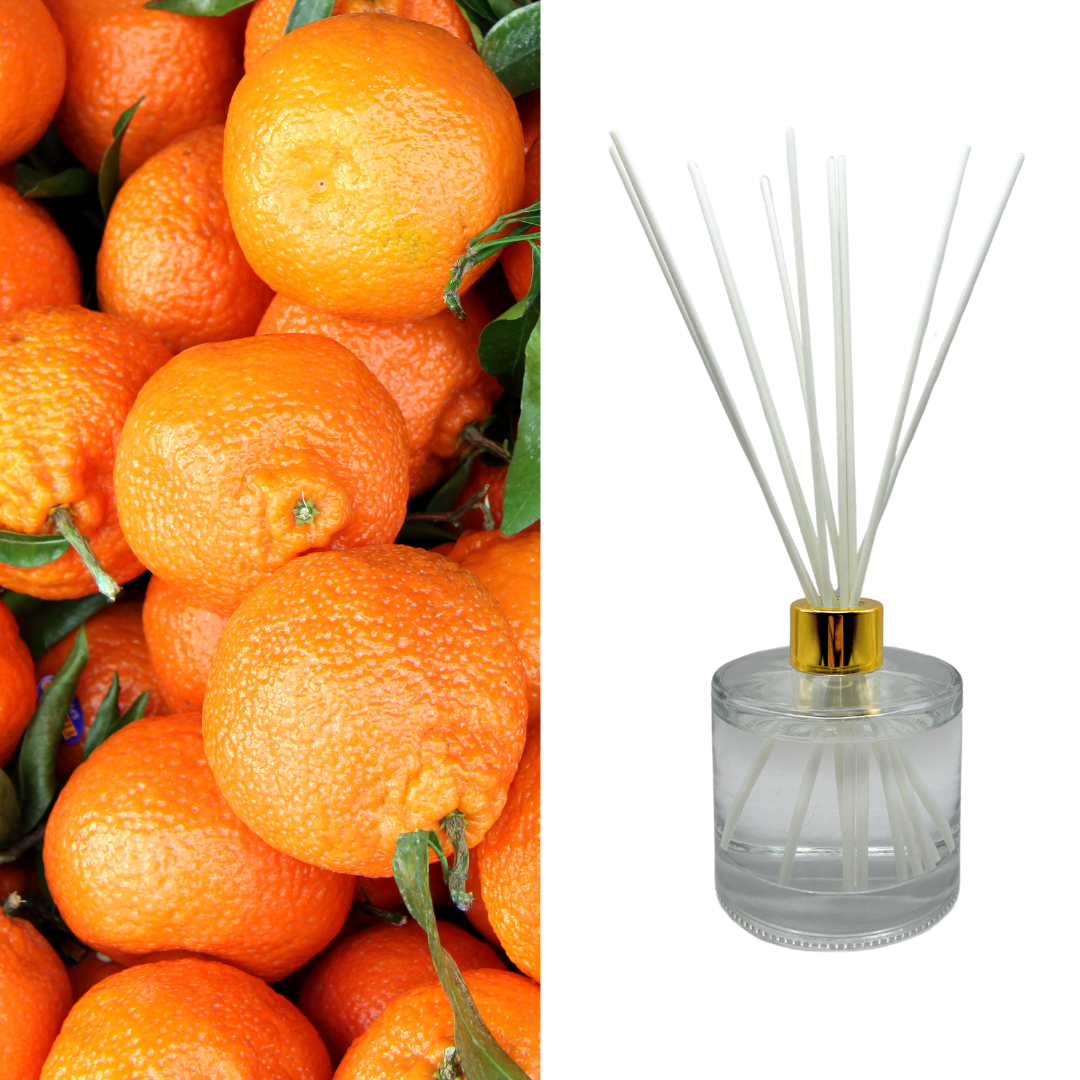 Mandarin Reed Diffuser Mandarin & Mimosa Reed Diffuser Set - Wicked Earth