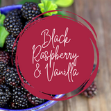 Black Raspberry & Vanilla Tea Light 10 Pack