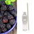 Black Raspberry & Vanilla Reed Diffuser Refill