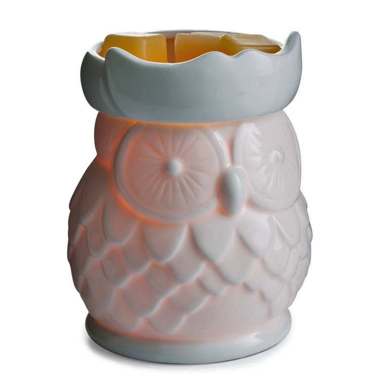 Owl Electric Melt Warmer