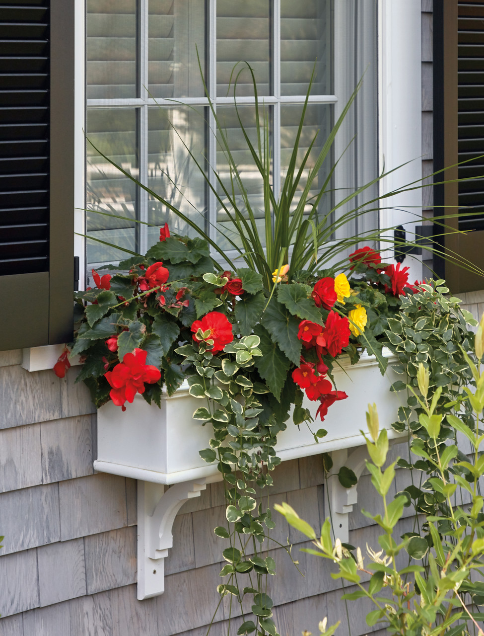 Walpole Outdoors Bullnose Window Box