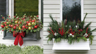 Decorating Your Window Box For The Holidays