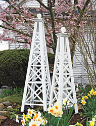 Garden Obelisks for Climbing Plants: 10 Plants That Will Thrive