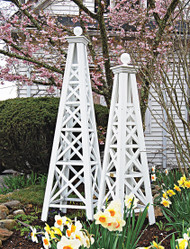 Garden Obelisk Trellises: Best Uses & Climbing Plants