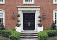 Outdoor Winter Planters: Key Considerations and Plant Care Tips