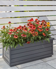 10 Summer Flowers for Planters: Enjoy Vibrant Color All Season Long