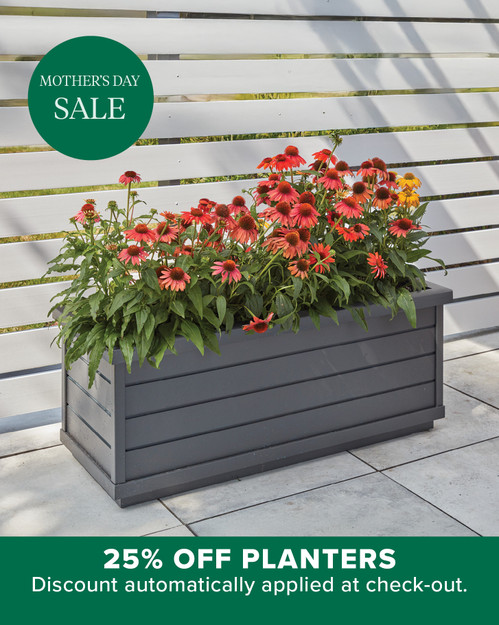 Wimberley Rectangular Planter