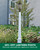 Maryland Lantern Post