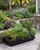 Rockport Herb Planter