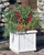 Square Rockport Planter Square Rockport Planter