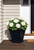 Tapered Rockport Planter