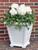 Tapered Rockport Planter