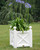 Orangerie Planter