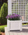 Standard Square Planter