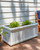Rectangular Rockport Planter