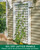 Rectangular Standard Lattice