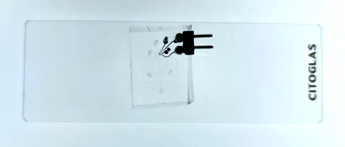 High-throughput SENSIFIC Droplet Sorting Chip for precise microfluidic droplet isolation with three inlets and mixing homogenizer. Ideal for single-cell analysis, directed evolution, and biochemical assays.