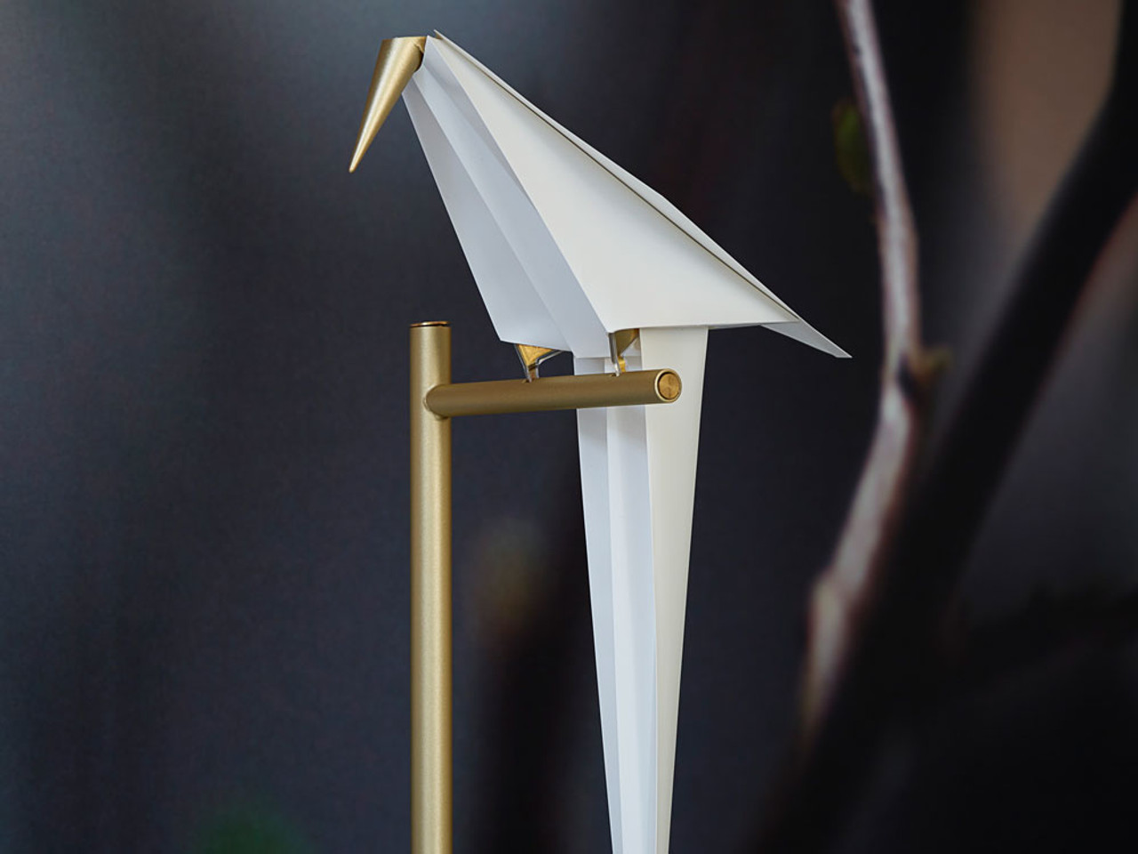 moooi Perch Floor Lamp by Umut Yamac
