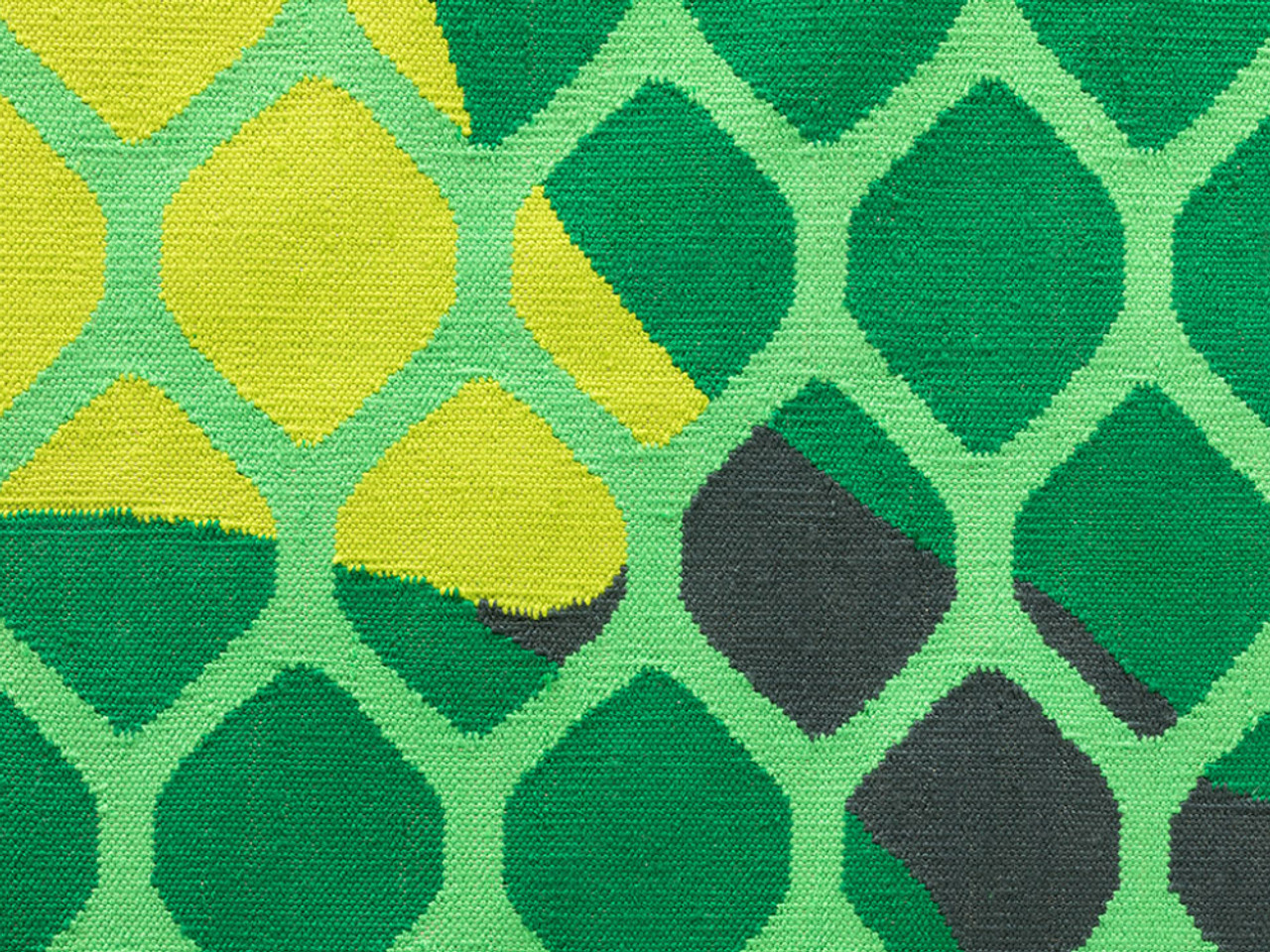 Citrus Rug - Lime