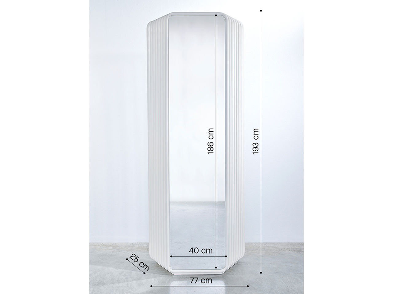 Echo Standing Mirror