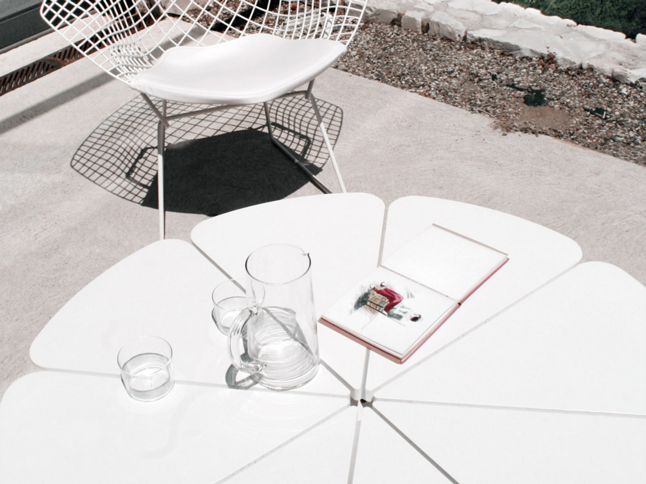 Petal Coffee Table