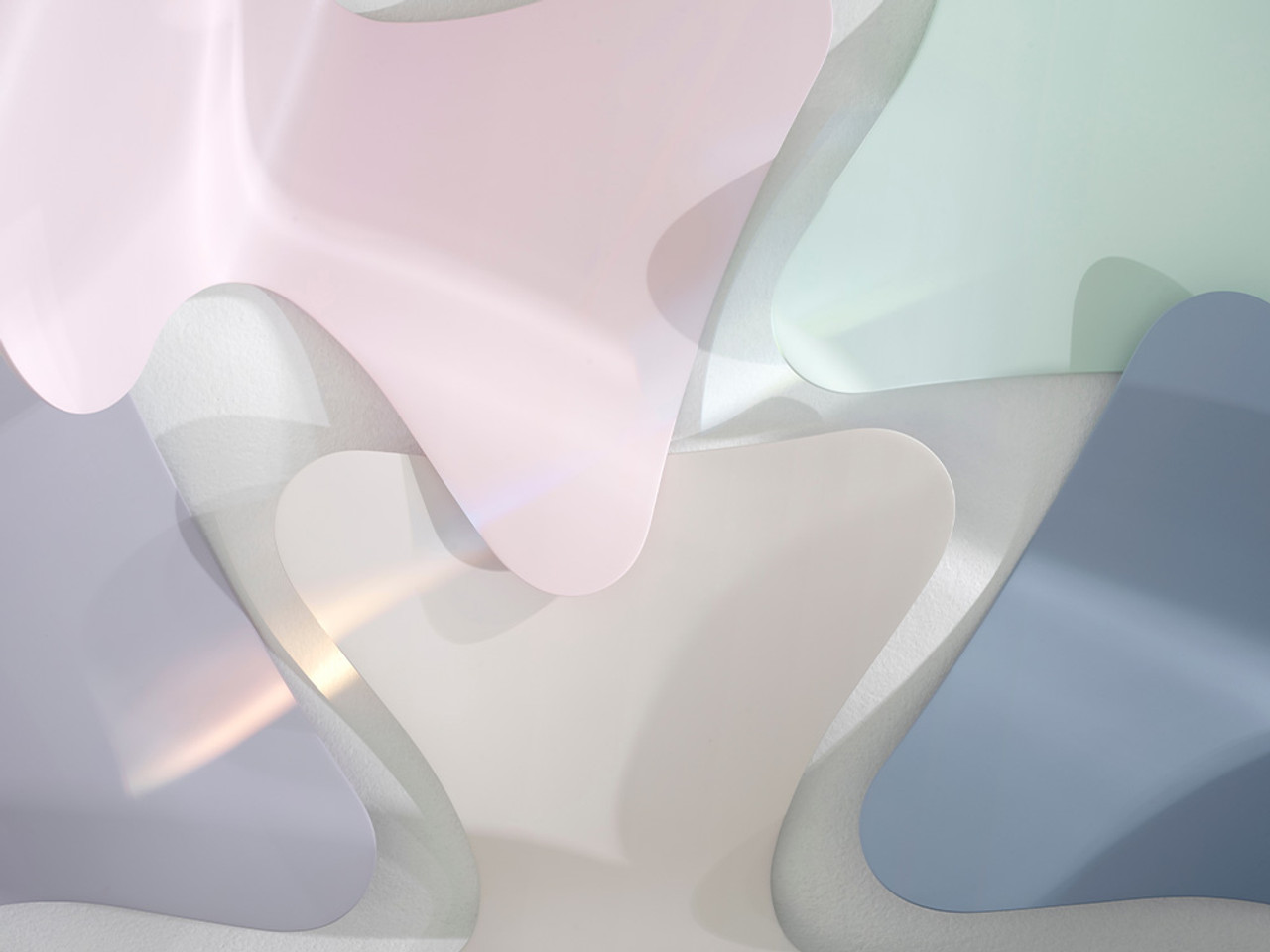 Series 7 Dining Chair - 7:14 AM Coloured Edition