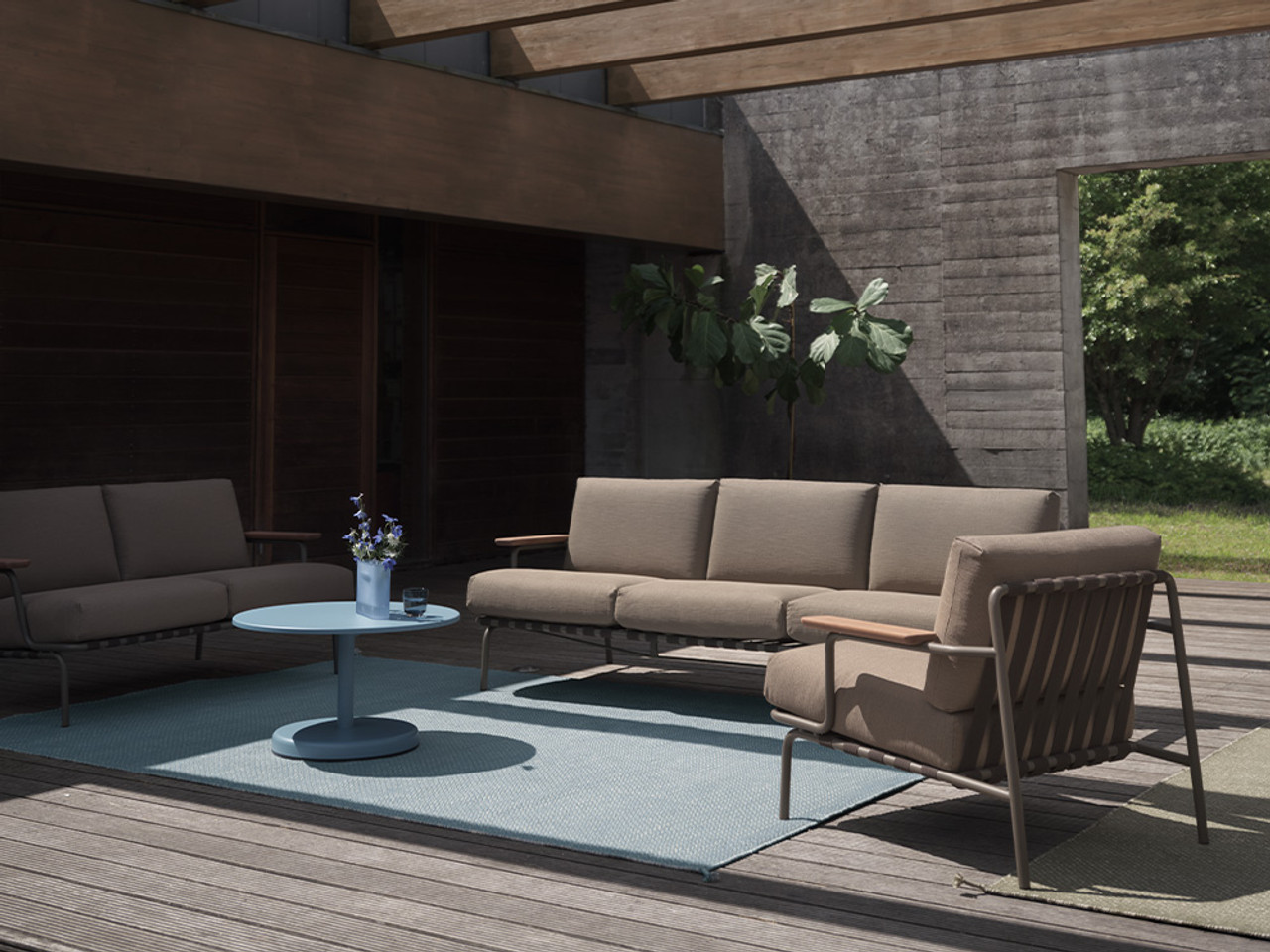 Ply Rug
