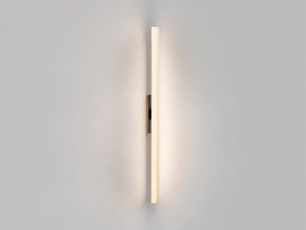 Fly Wall Light