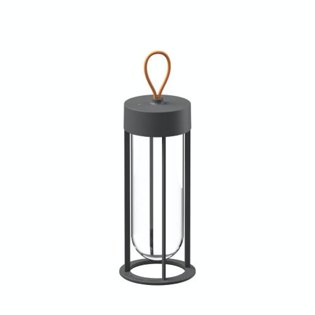 In Vitro Unplugged Lantern