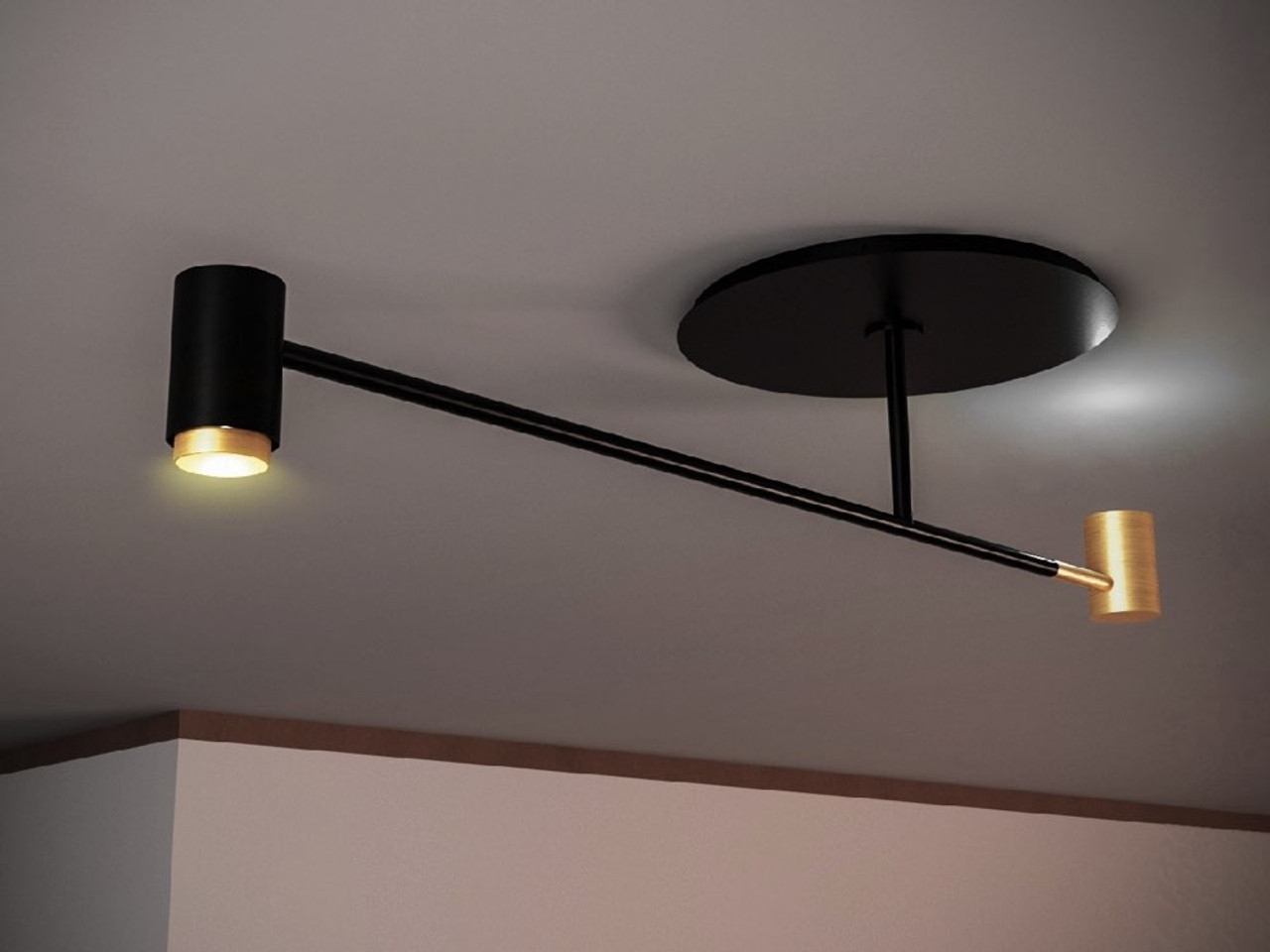 Contardi Lighting Melanocetus Pendant Light by Tristan Auer