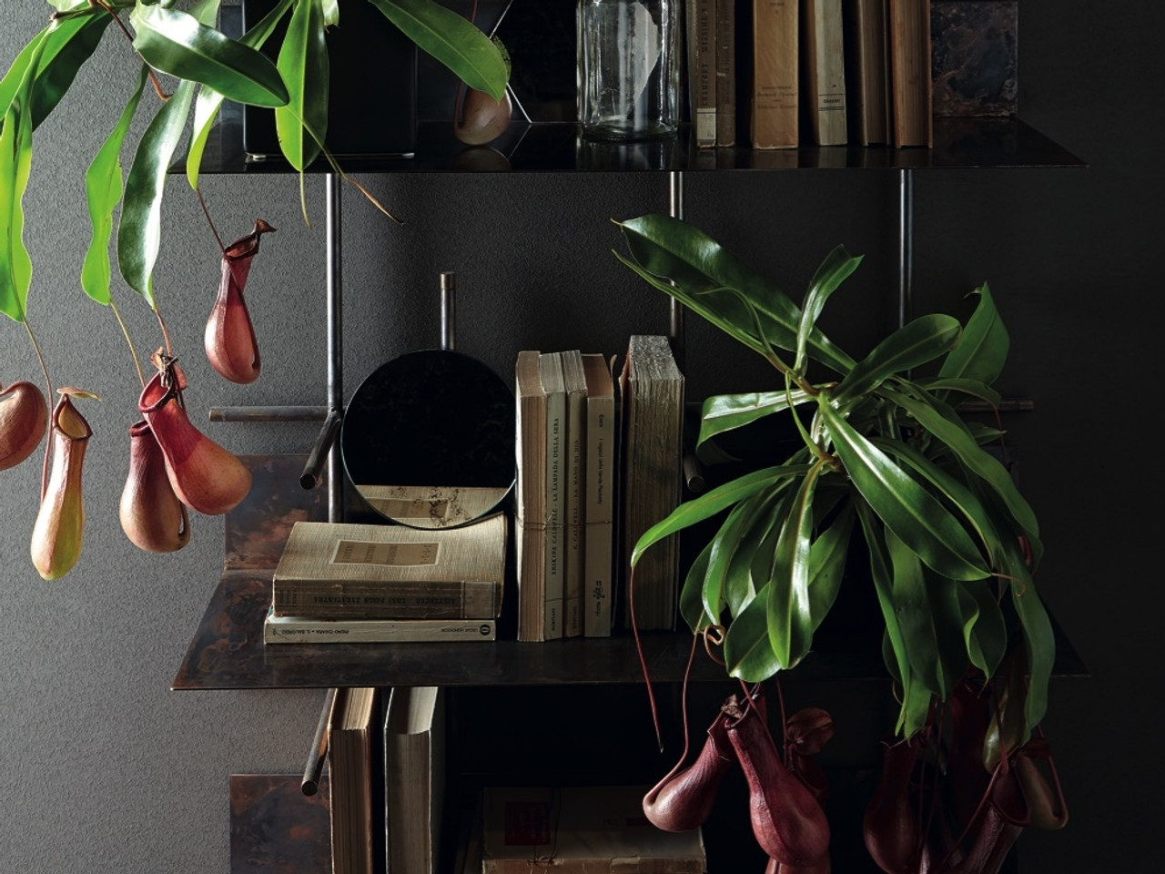 Gallotti & Radice Navigli Shelving System by Massimo Castagna