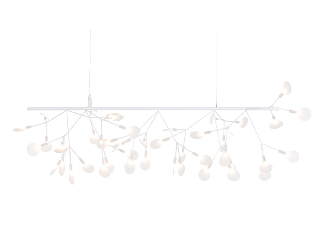 Moooi Heracleum Endless Pendant Light by Bertjan Pot