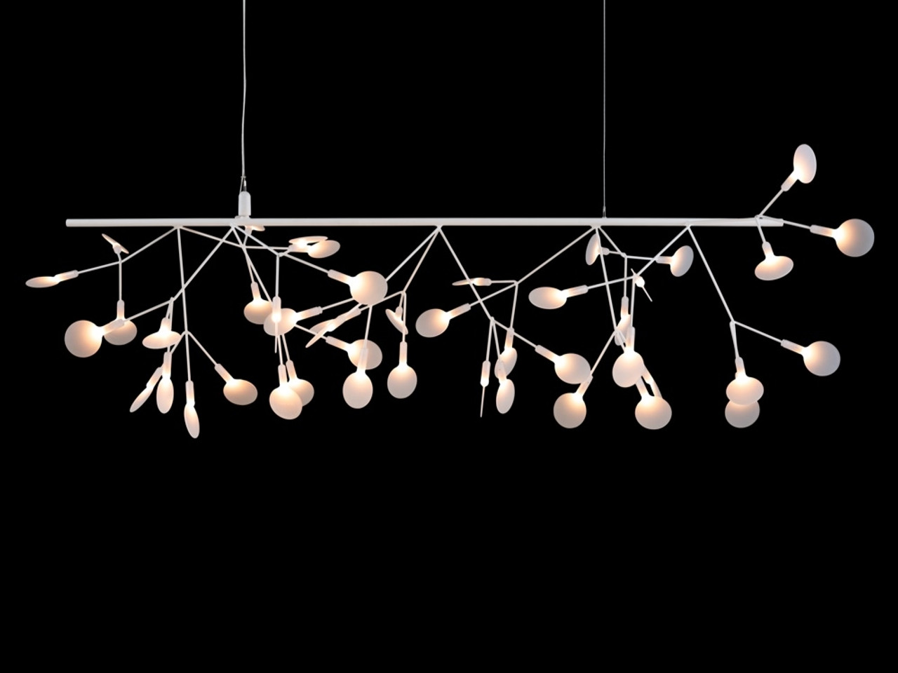Moooi Heracleum Endless Pendant Light by Bertjan Pot