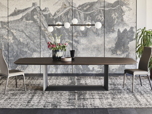 Cattelan Italia Dragon Wood Dining Table by Paolo Cattelan