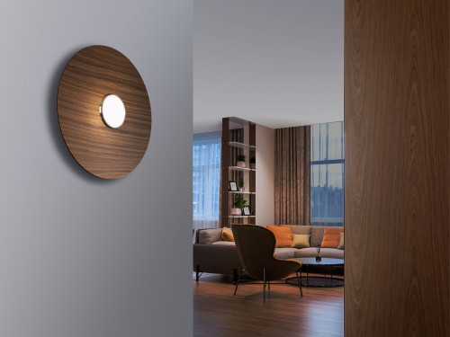 Sky Dome Flush Wood Wall/Ceiling Light