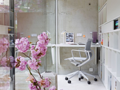 Physix Office Chair - Quickship