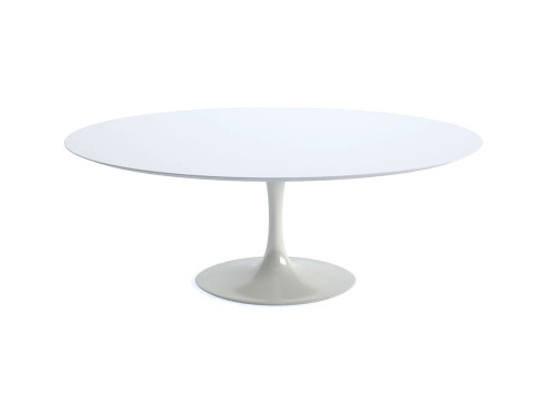 Saarinen Oval Dining Table - Quickship