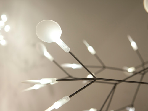 moooi Heracleum II Chandelier by Bertjan Pot