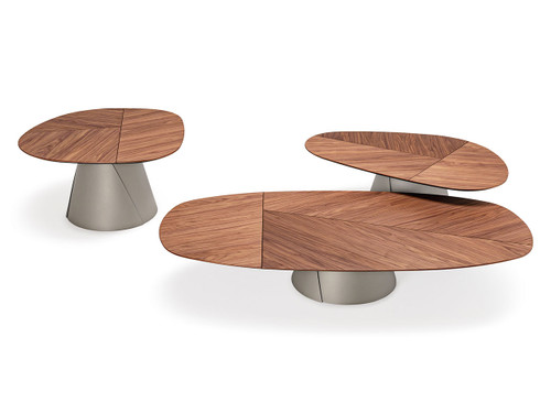 Adrian Wood Coffee Table