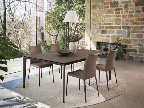 Fay Dining Chair
