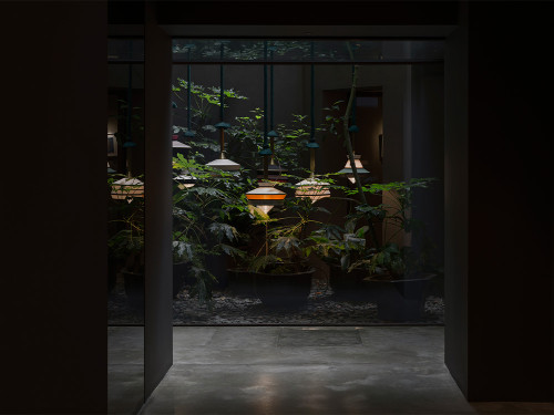 Calypso Guadaloupe Outdoor Pendant Light